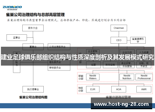 建业足球俱乐部组织结构与性质深度剖析及其发展模式研究