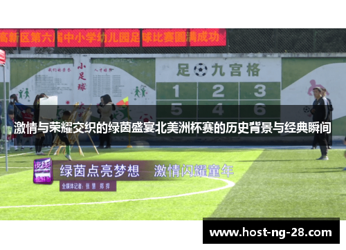 激情与荣耀交织的绿茵盛宴北美洲杯赛的历史背景与经典瞬间
