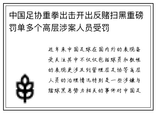中国足协重拳出击开出反赌扫黑重磅罚单多个高层涉案人员受罚