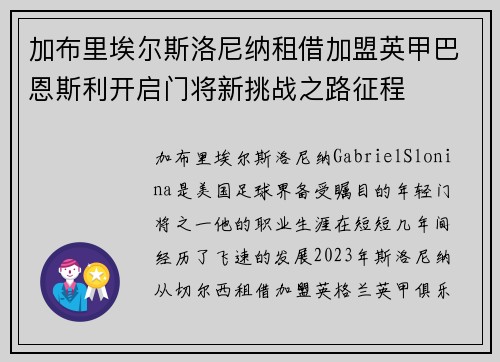 加布里埃尔斯洛尼纳租借加盟英甲巴恩斯利开启门将新挑战之路征程 加布里埃尔斯洛尼纳租借加盟英甲巴恩斯利开启门将新挑战之路征程
