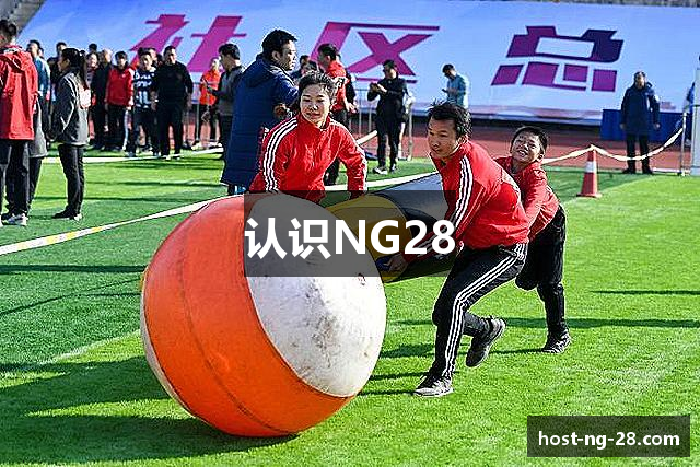 认识NG28
